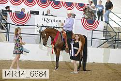 14r14_6684 proof