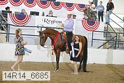 14r14_6685 proof