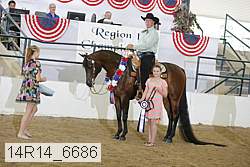 14r14_6686 proof