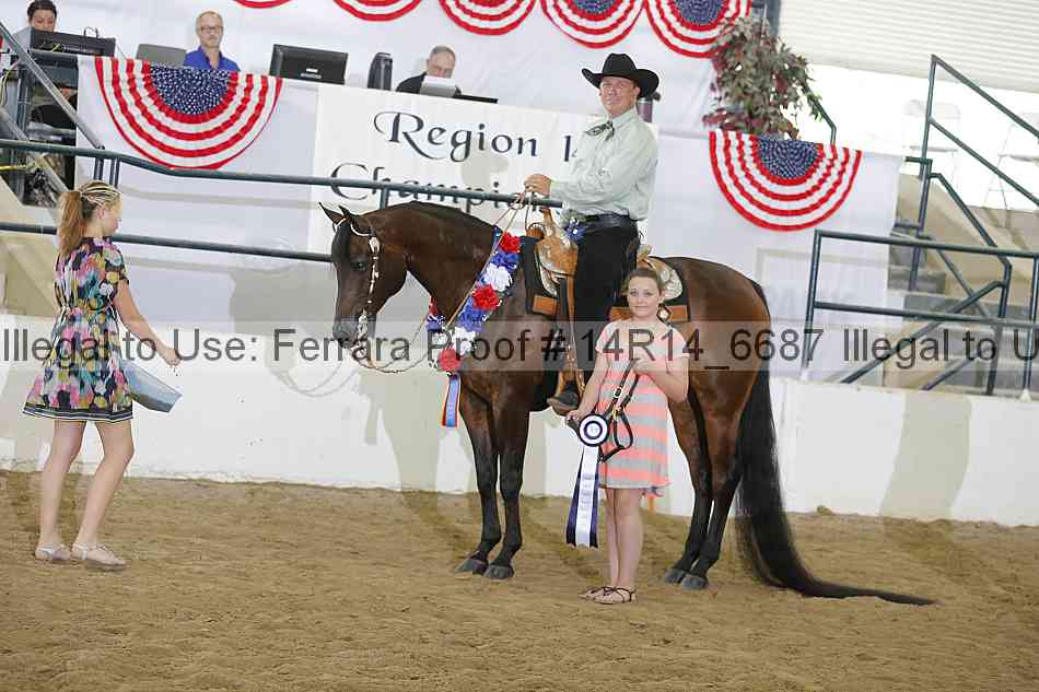 Proof 14r14_6687