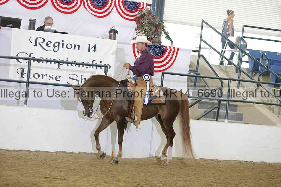 Proof 14r14_6690