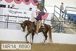 14r14_6690 proof