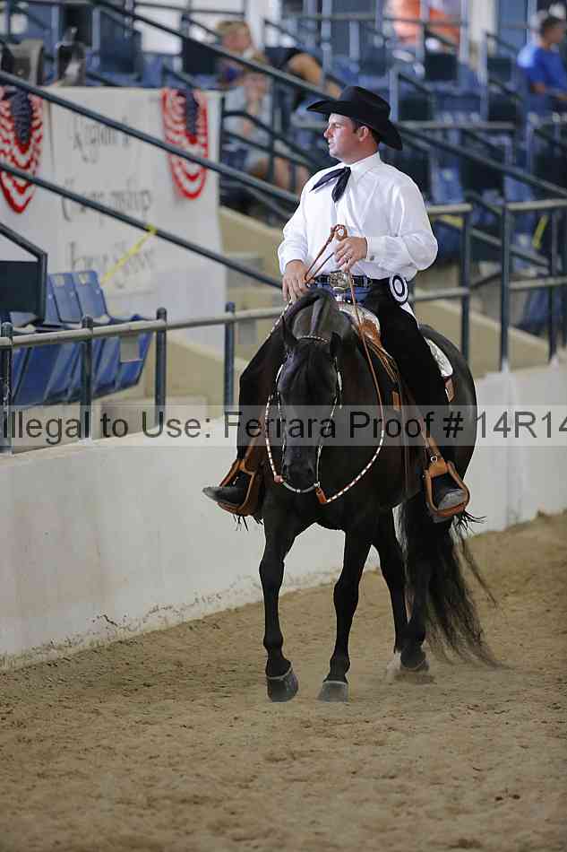 Proof 14r14_6691