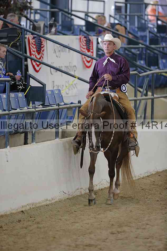 Proof 14r14_6695