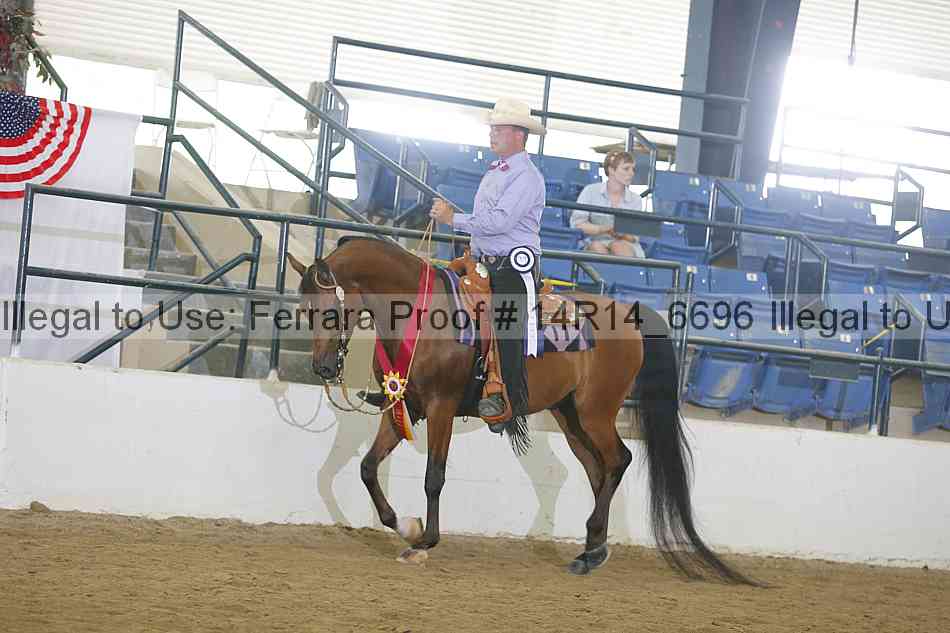 Proof 14r14_6696