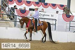 14r14_6698 proof