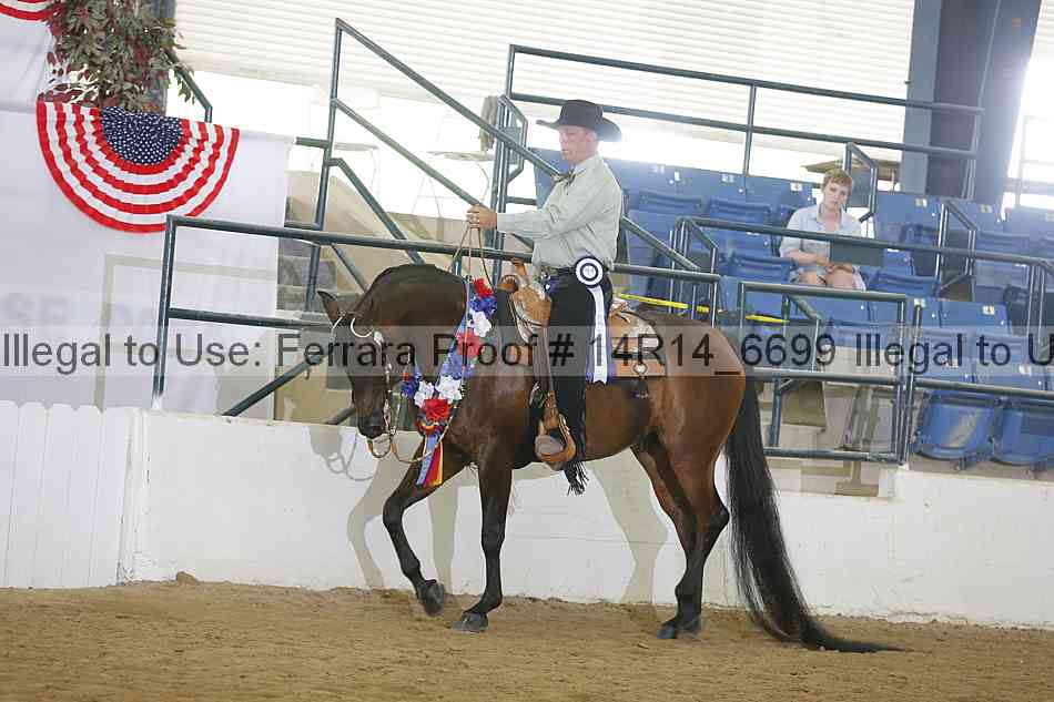 Proof 14r14_6699