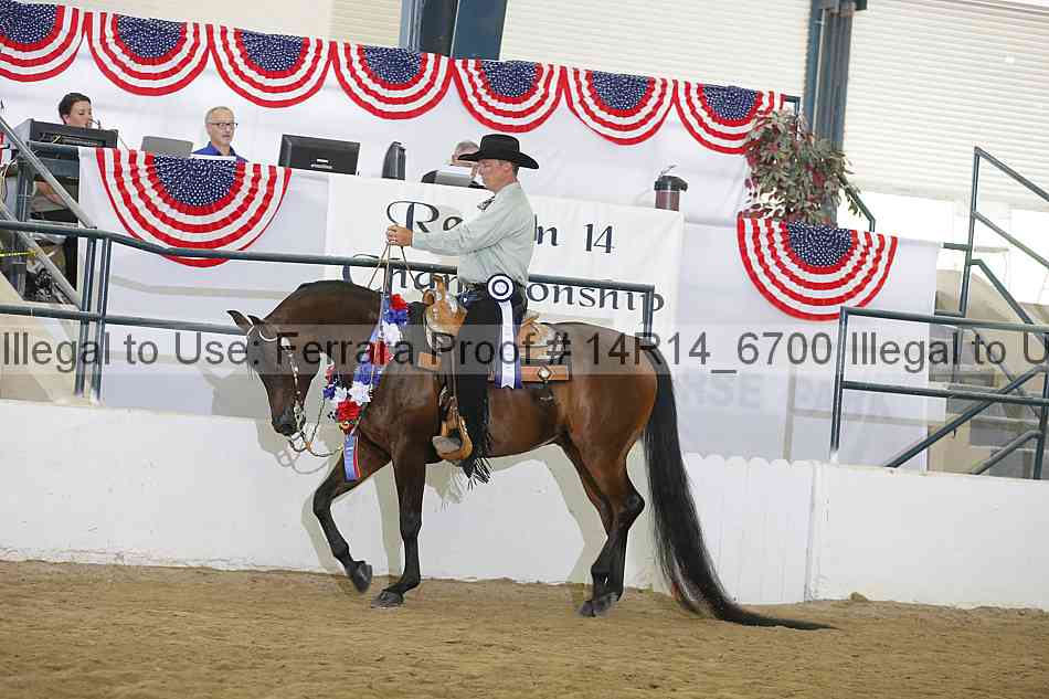 Proof 14r14_6700