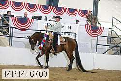 14r14_6700 proof