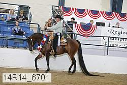14r14_6701 proof
