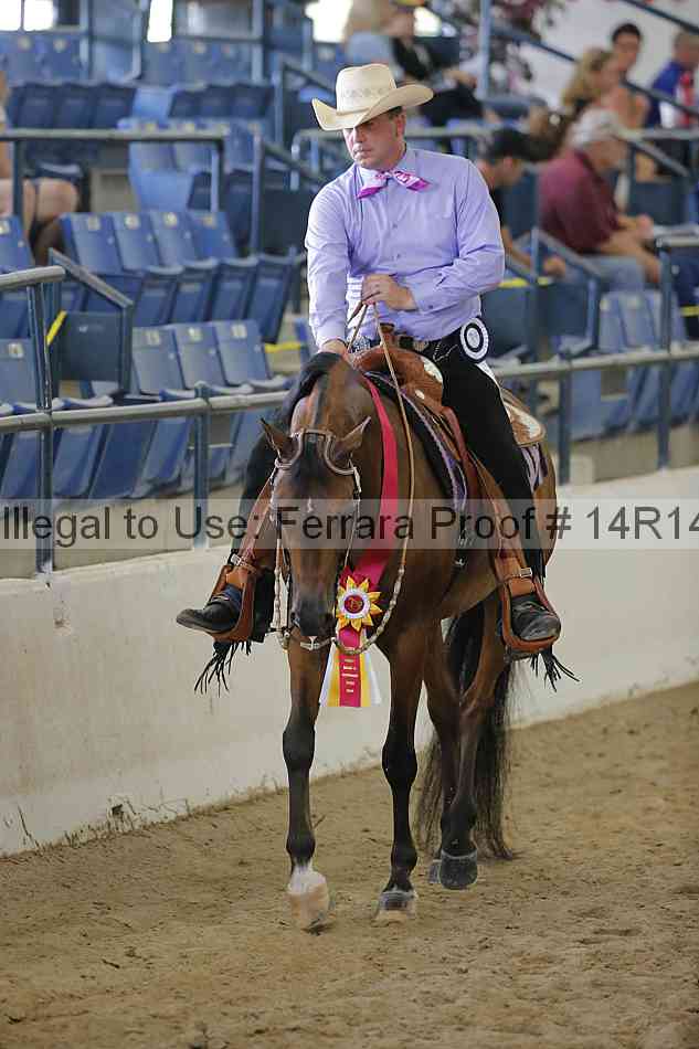 Proof 14r14_6703