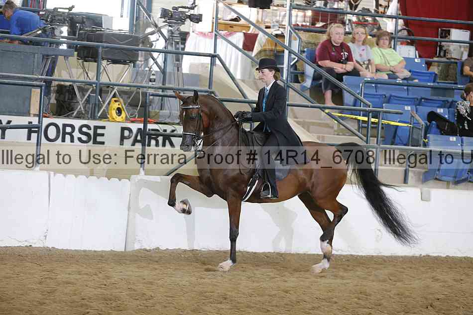 Proof 14r14_6708