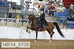 14r14_6708 proof