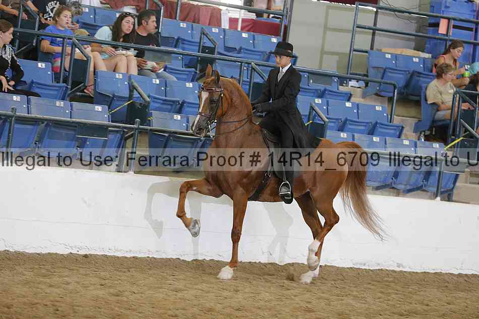 Proof 14r14_6709