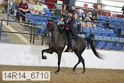 14r14_6710 proof
