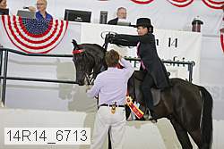 14r14_6713 proof