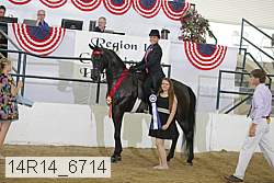 14r14_6714 proof