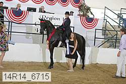 14r14_6715 proof