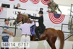 14r14_6717 proof