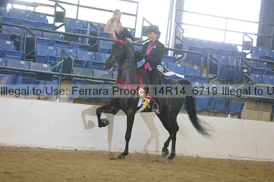 Proof 14r14_6719