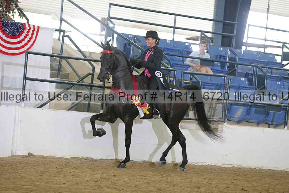 Proof 14r14_6720
