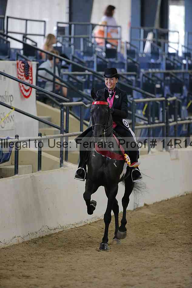 Proof 14r14_6722