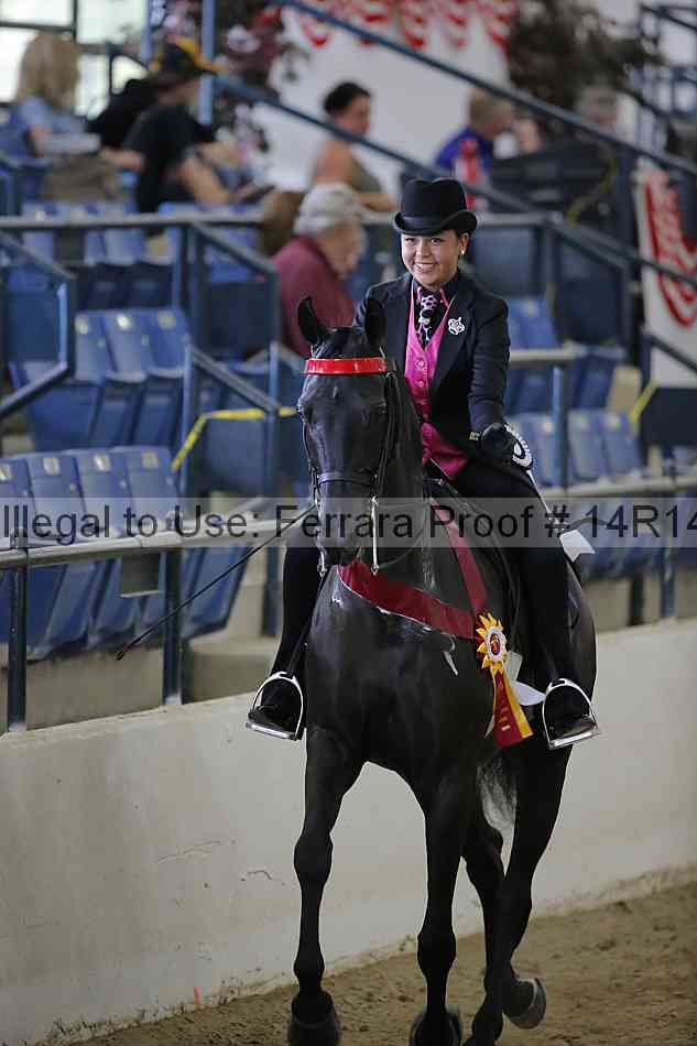 Proof 14r14_6723
