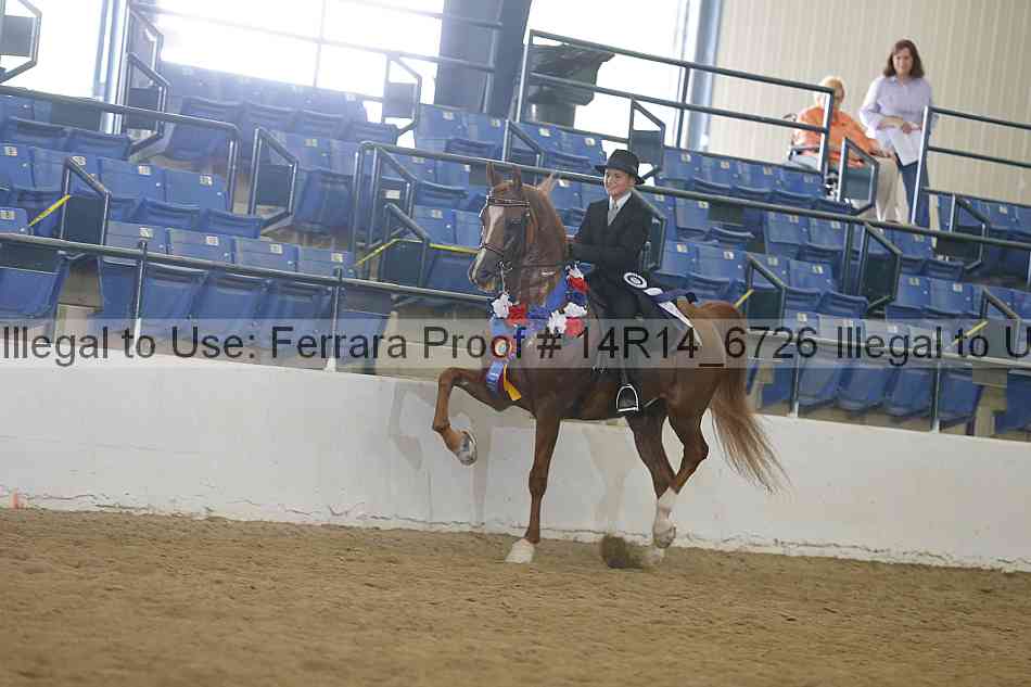 Proof 14r14_6726