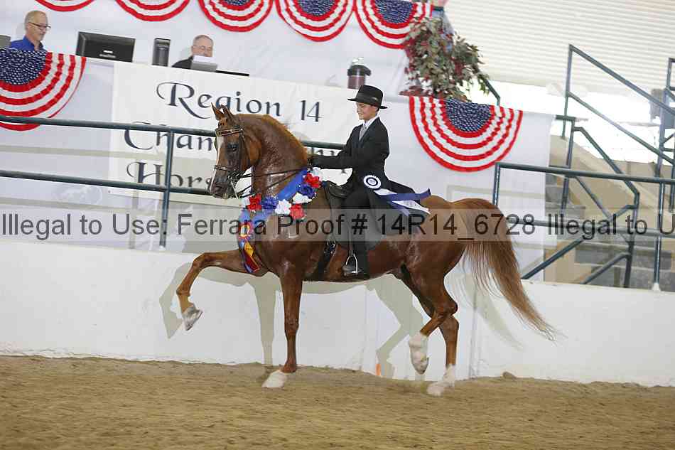 Proof 14r14_6728