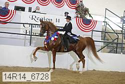 14r14_6728 proof
