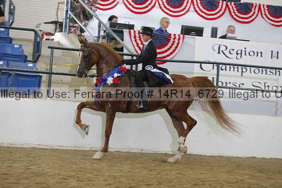 Proof 14r14_6729