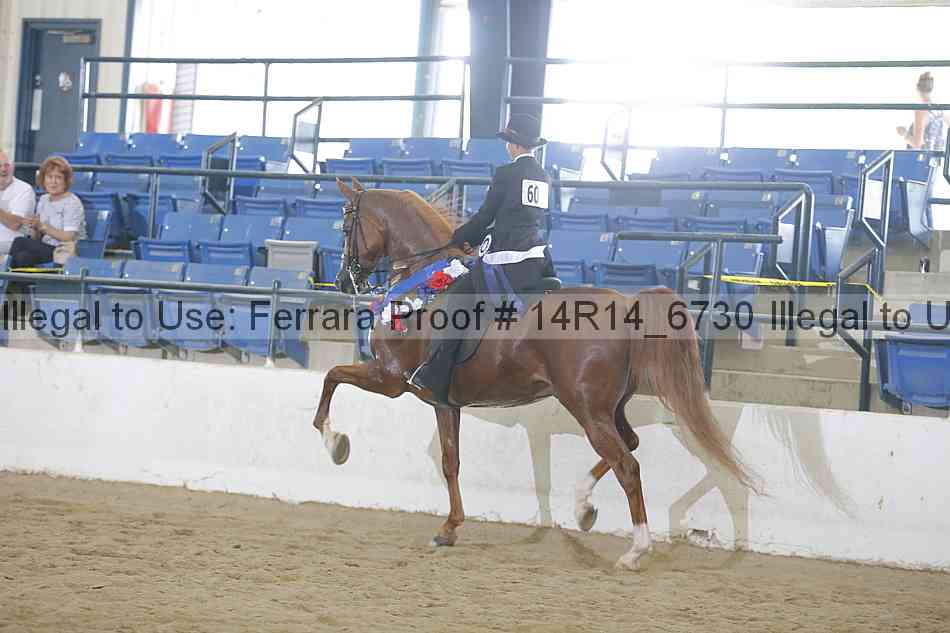 Proof 14r14_6730