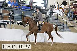 14r14_6737 proof