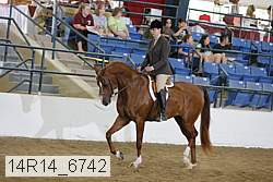 14r14_6742 proof