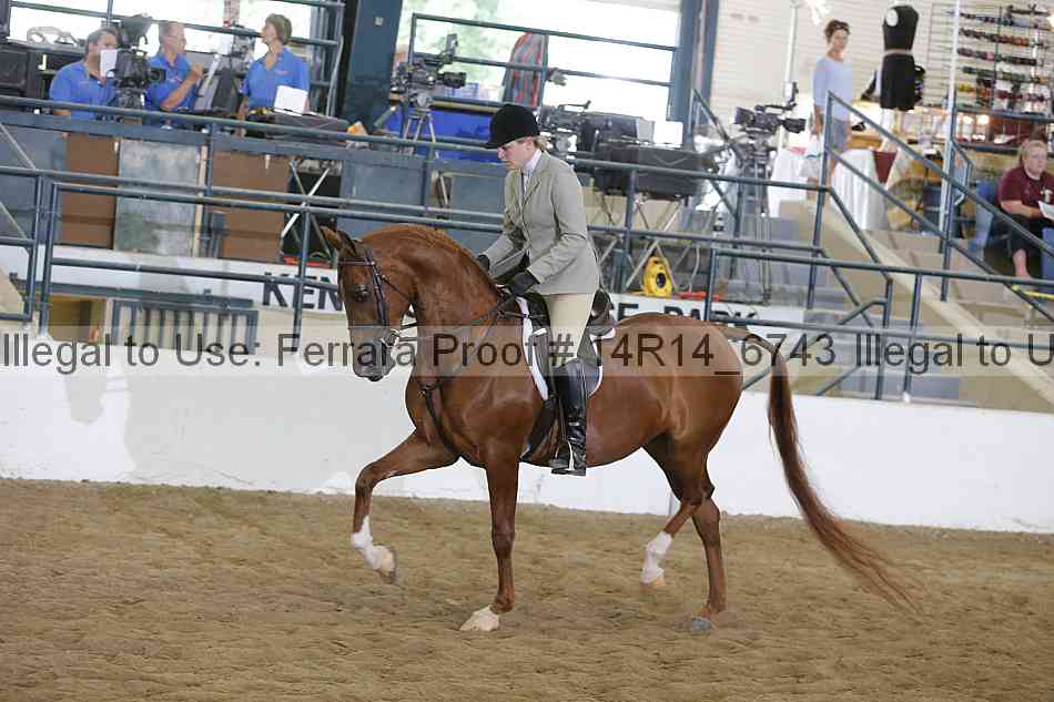 Proof 14r14_6743