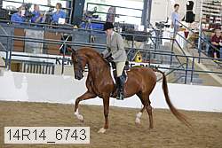 14r14_6743 proof