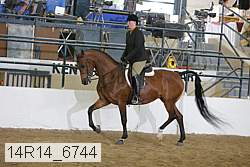 14r14_6744 proof
