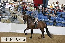 14r14_6752 proof
