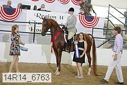 14r14_6763 proof