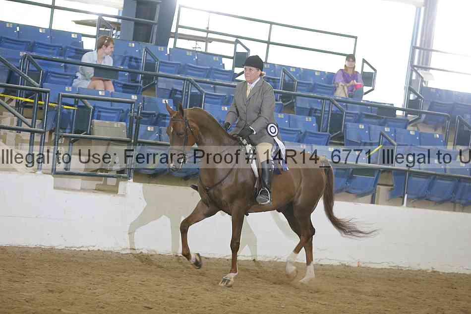 Proof 14r14_6771