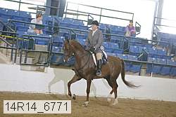 14r14_6771 proof