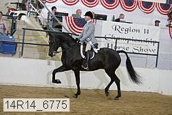 14r14_6775 proof