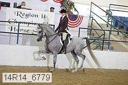 14r14_6779 proof