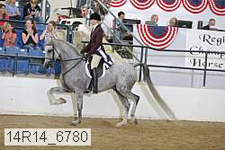 14r14_6780 proof