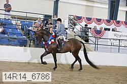 14r14_6786 proof