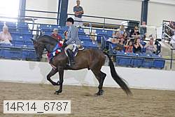 14r14_6787 proof