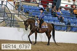 14r14_6797 proof