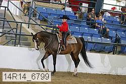 14r14_6799 proof
