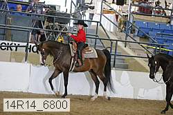14r14_6800 proof