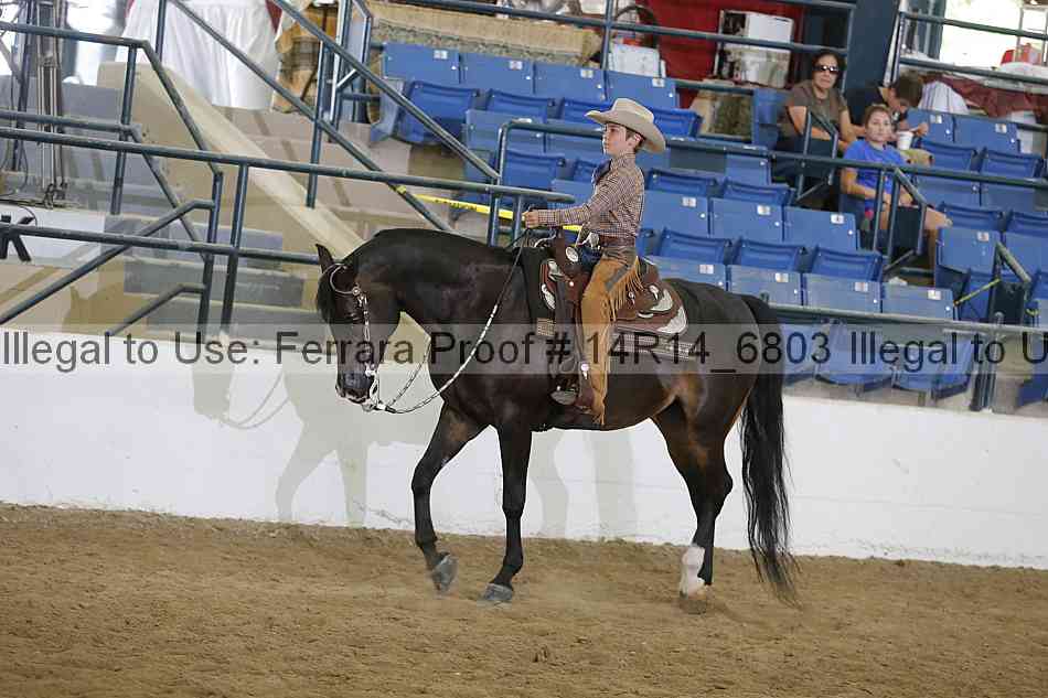Proof 14r14_6803
